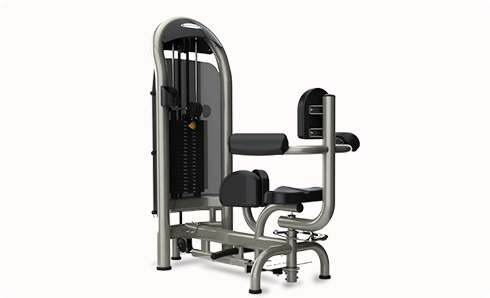 轉(zhuǎn)腰訓練機