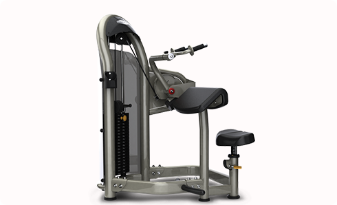 三頭肌伸展訓練機