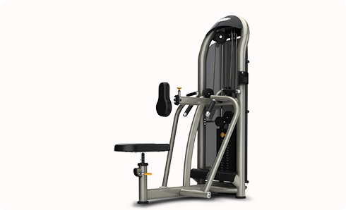 雙軸坐式劃船訓練機