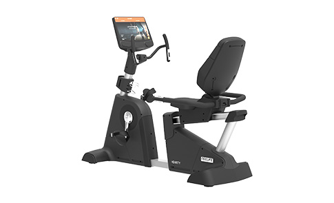 HEARTY 系列 靠背式功率自行車(chē)