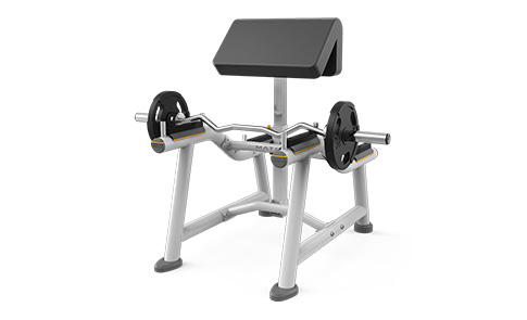 站姿二頭肌訓(xùn)練椅