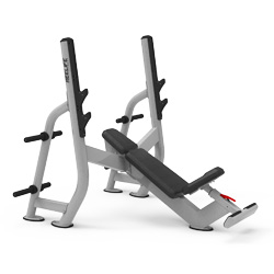 奧林匹克上斜臥推架