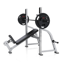 奧林匹克上斜椅