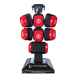 擊打力訓練測試系統(tǒng)Step & Punch