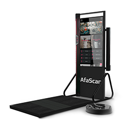 動態體態體能評估系統