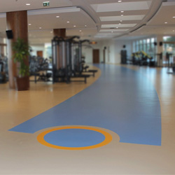 多功能運(yùn)動(dòng)地板